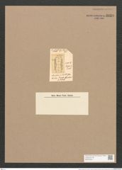 Amphora undulata Grev. (de-Toni-Nr.: Genus 36, Species 1587) Zeichnungen Sammlung Grunow Nr. 3039 (NHMW-BOT-W0370432)
